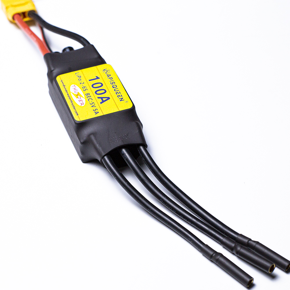 ApisQueen onderwater 100A bors - Rc Boat Brushless Motor recensie en prijs